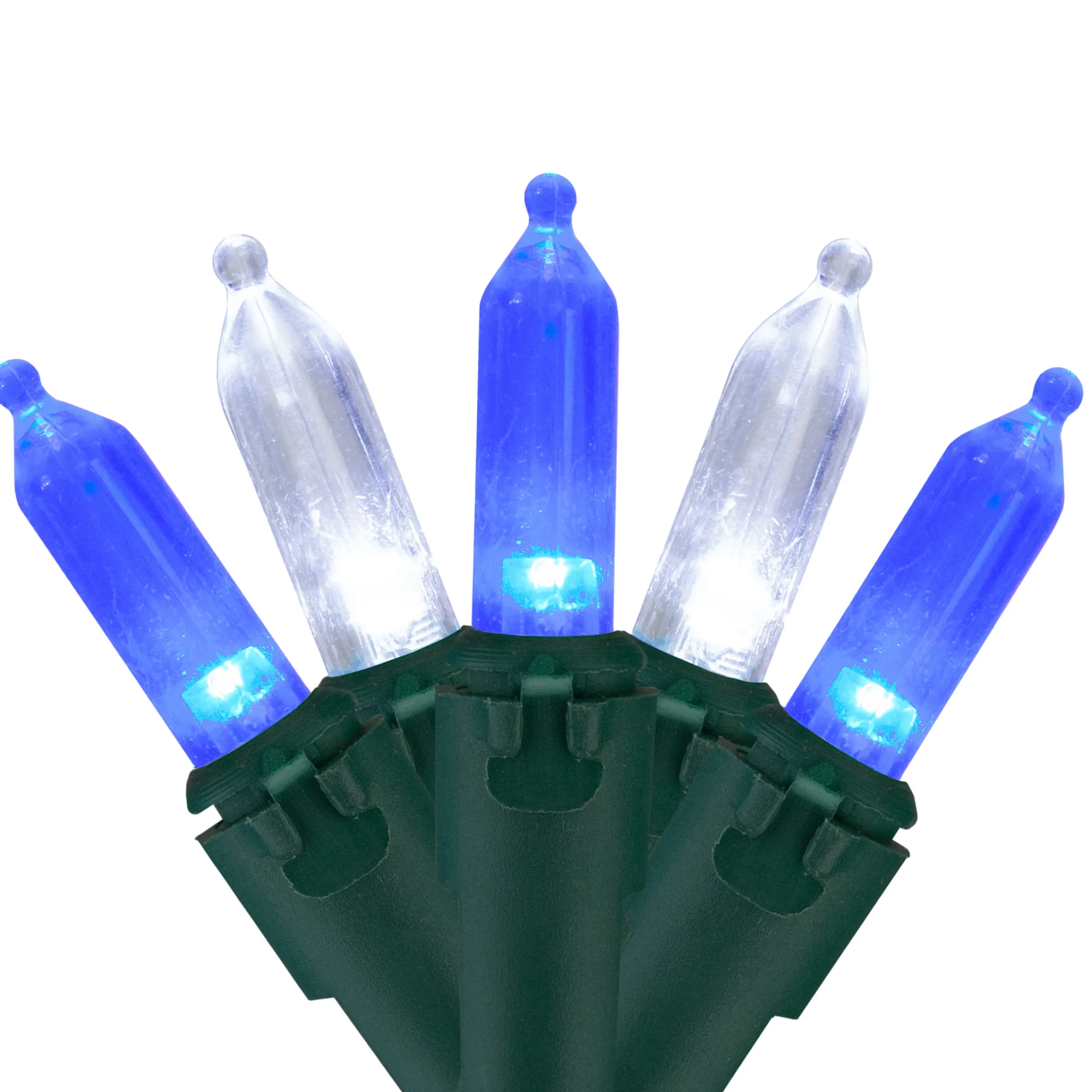 Northlight Set Of 100 Blue & Pure White Led Mini Christmas Lights 4" Spacing - Green Wire