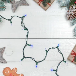 Northlight Set Of 100 Blue & Pure White Led Mini Christmas Lights 4" Spacing - Green Wire