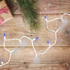 Northlight Set Of 100 Blue & Pure White Led Mini Christmas Lights 4" Spacing - White Wire