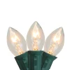 Northlight Set Of 25 C7 Clear Christmas Lights - 24 Ft Green Wire