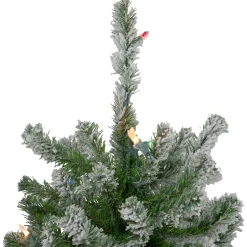 Northlight Pre-Lit Traditional Trees></noscript>Set Of 3 Pre-Lit Flocked Alpine Artificial Christmas Trees 5' - Multi Lights