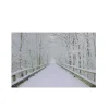 Wall & Door Decorations*Northlight Small Fiber Optic Lighted Winter Wooden Bridge Canvas Wall Art 12" X 15.75"