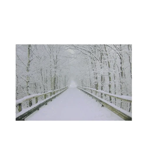 Wall & Door Decorations*Northlight Small Fiber Optic Lighted Winter Wooden Bridge Canvas Wall Art 12" X 15.75"
