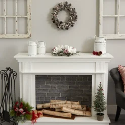 Frosted, Flocked, Iced Wreaths*Nearly Natural Snowy Pinecone Artificial Christmas Wreath, 17-Inch, Unlit