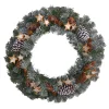 Frosted, Flocked, Iced Wreaths*Nearly Natural Winter Frosted Stars And Pinecones Artificial Christmas Wreath, 24-Inch, Unlit